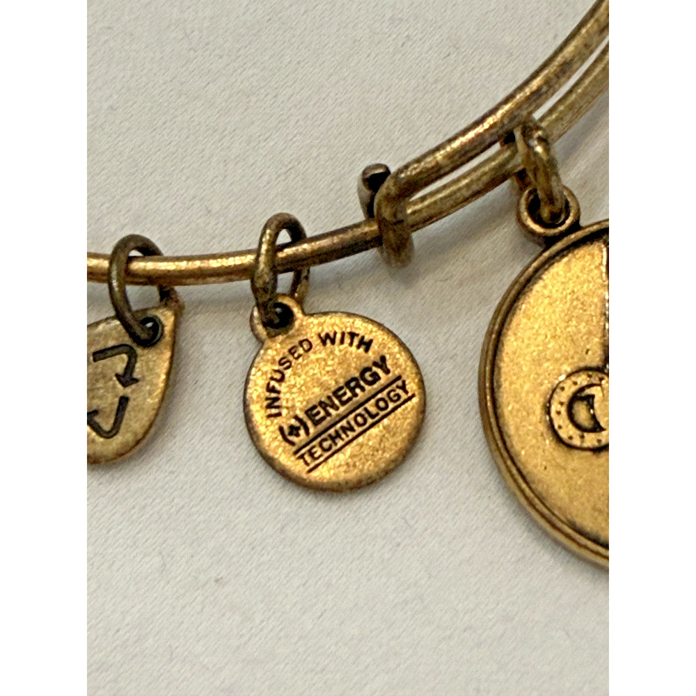 Disney Alex And Ani Hollywood Studios Sorcerer Hat Gold Bangle Charm Bracelet - Picture 7 of 9